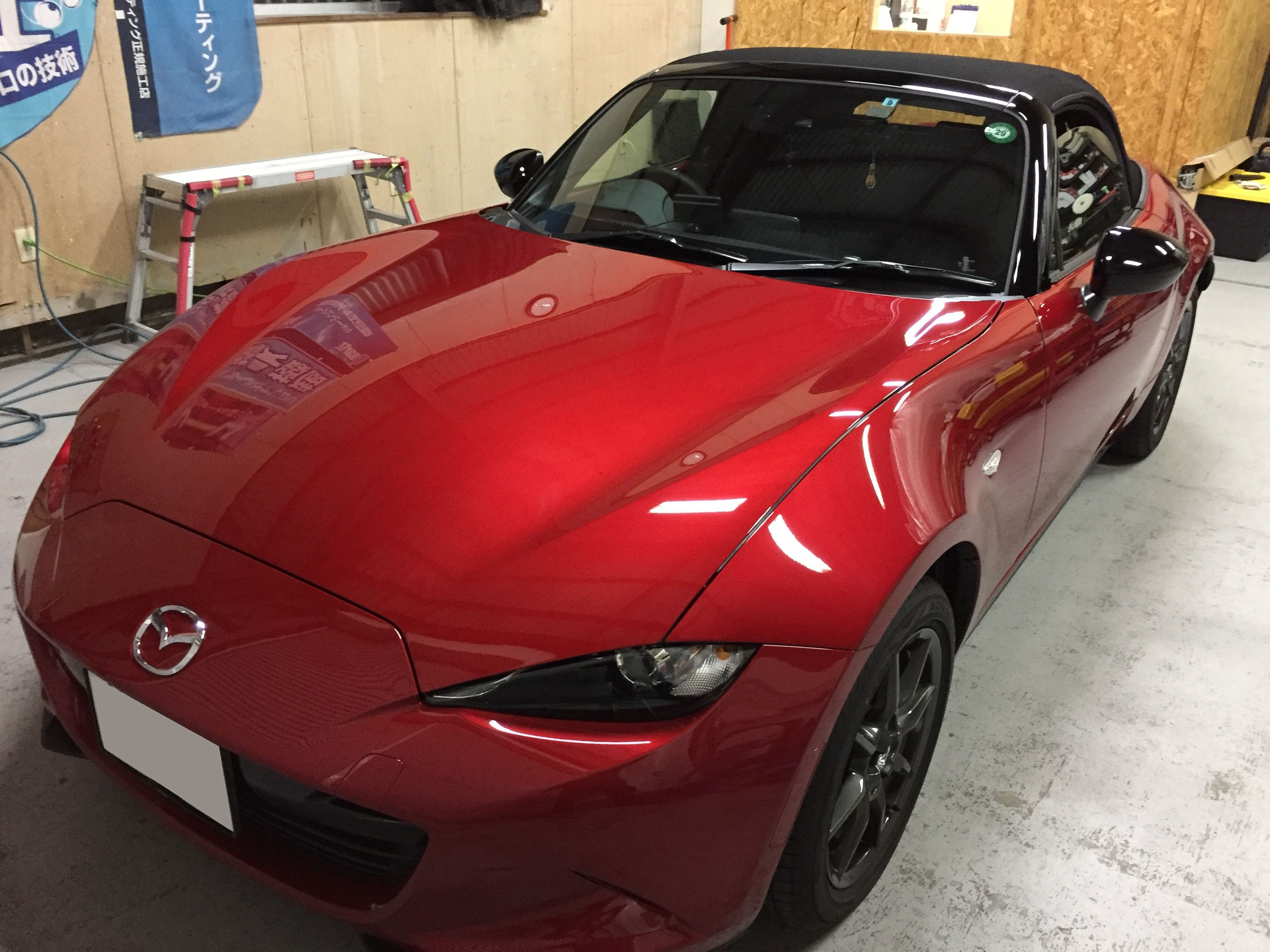 ロードスター ガラスコーティング Revive 8bde6f431073 1