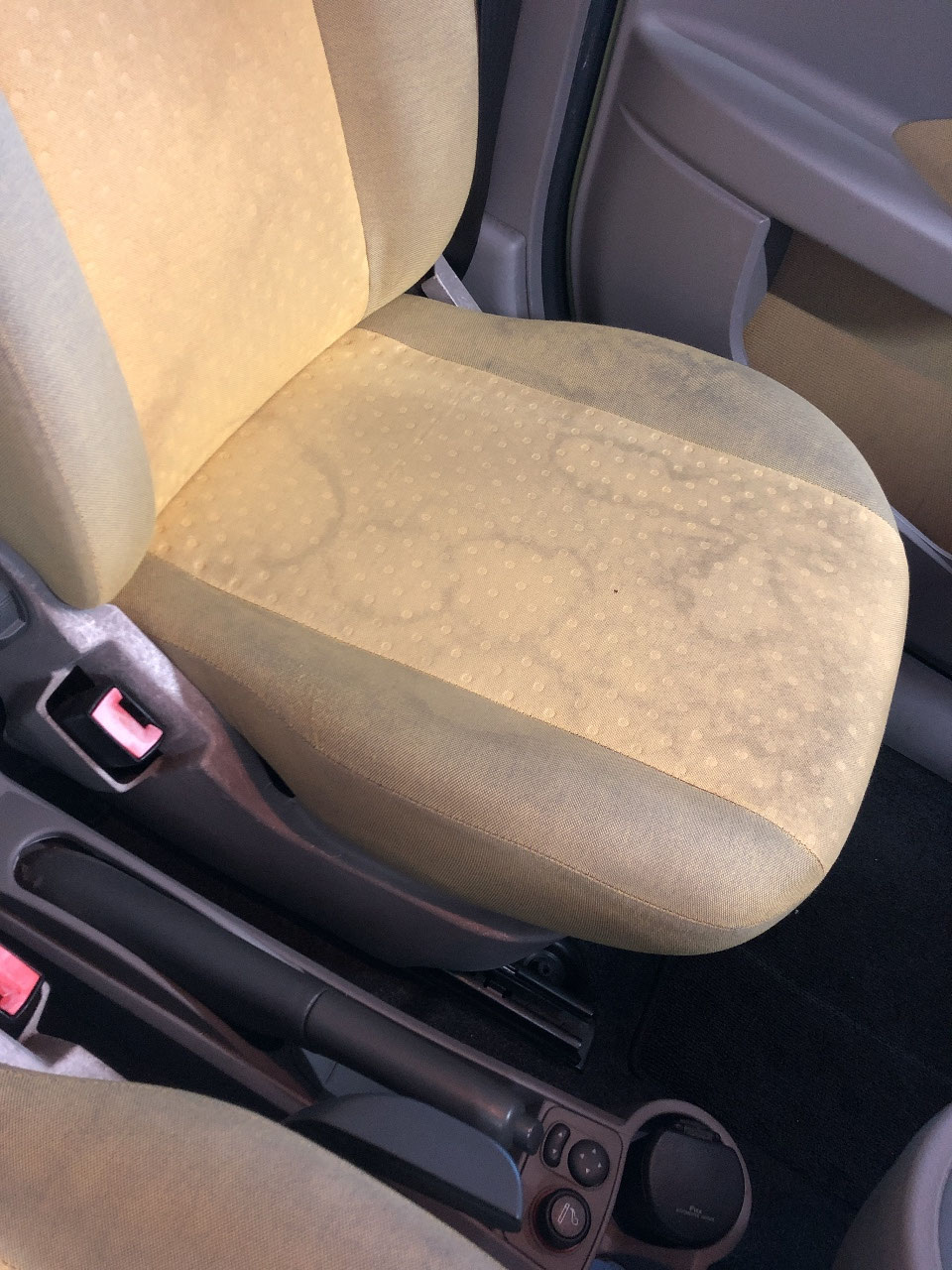 自動車のルームクリーニング Revive B258dd1cf9a1 2