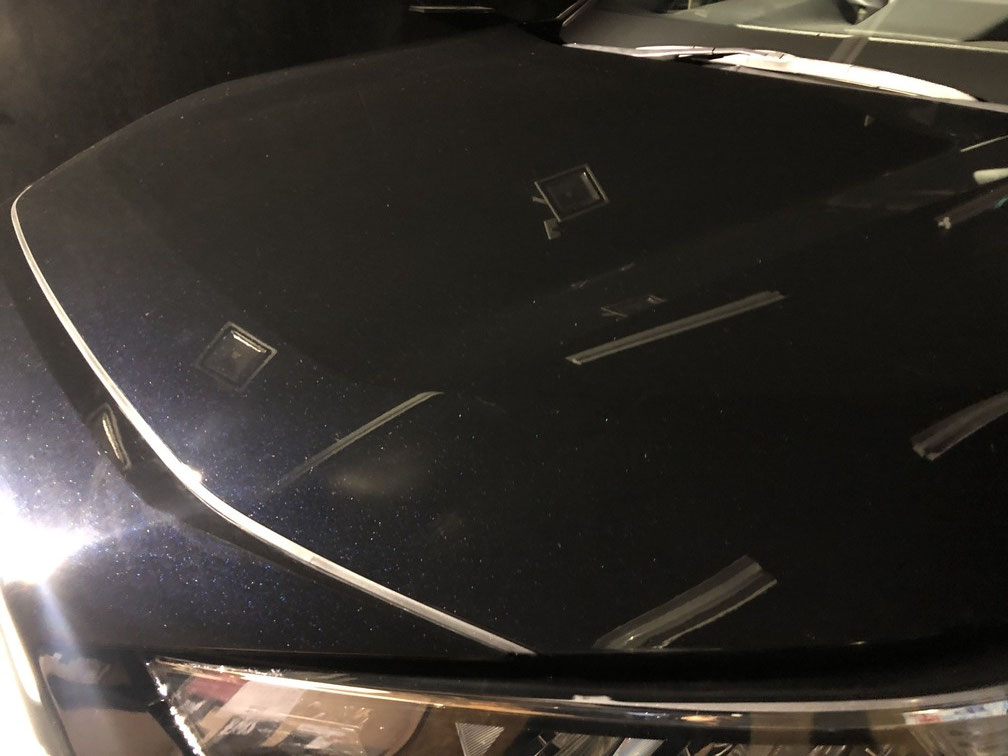 RAV4 MXAA54 オールブルーコーティング Revive B8d3a6c088d5 2
