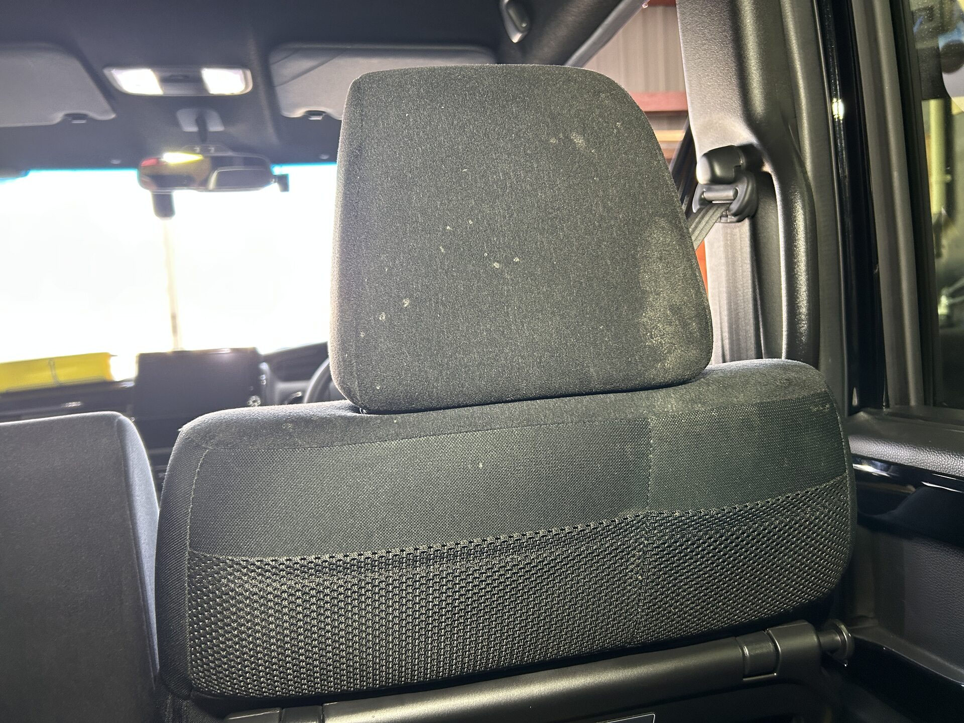 【車内嘔吐のトラブル】知っておきたい「個人賠償責任保険」 Revive 2732a7b5757f